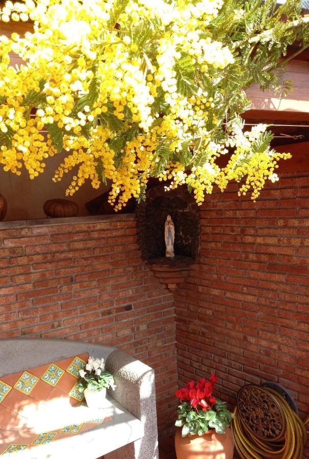 Casa Dell'Ulivo Villa Aci Bonaccorsi Kültér fotó